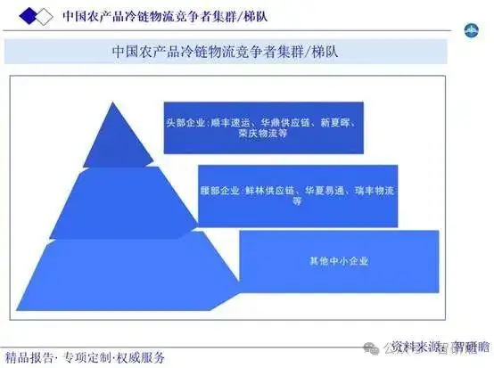 农产品冷链物流行业定义_农产品冷链物流模式比较研究_农产品冷链物流运营模式