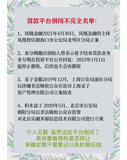 小贷公司融资杠杆率_武汉普罗米斯小贷 清算 借款人不用还钱