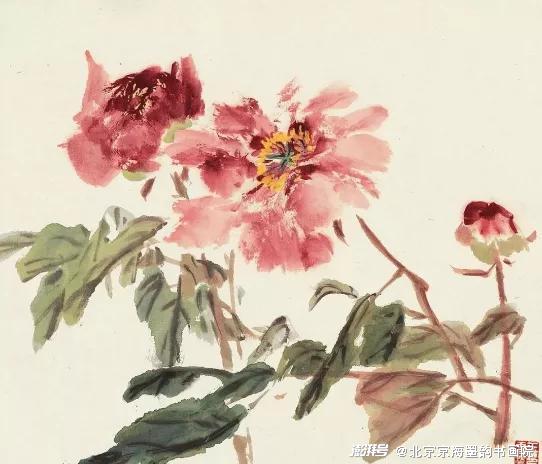 牡丹寓意富贵吉祥_富贵满堂牡丹是何意_牡丹与吉祥图案寓意