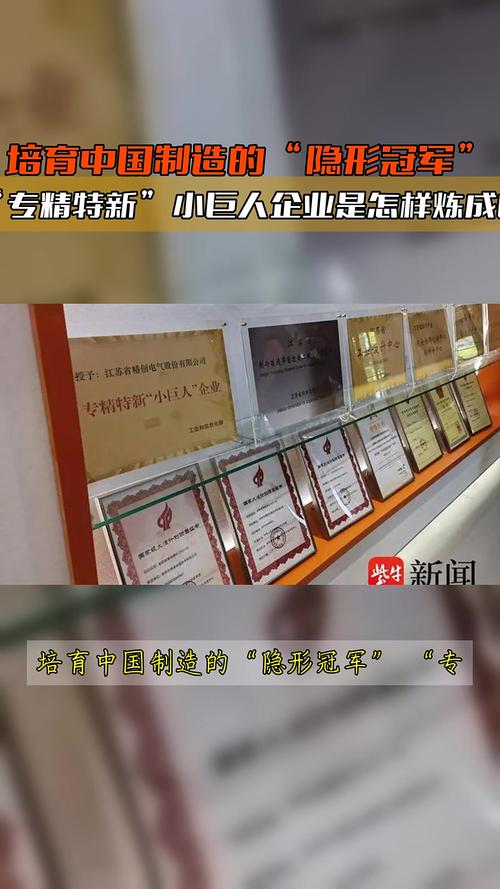 双良节能凭啥培育出众多专精特新小巨人企业？答案在这儿
