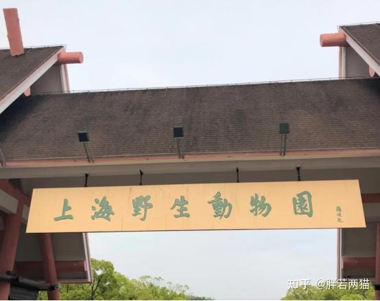 上海招行营业网点查询_上海旅游攻略_上海景点推荐