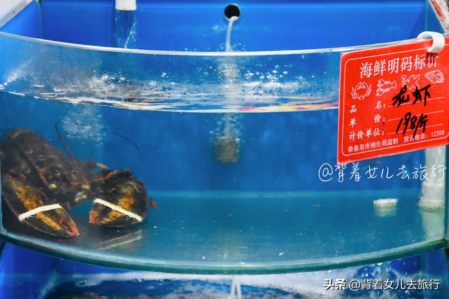 北戴河刘庄旅店多少钱?_北戴河自由行避坑指南_北戴河3天2晚自由行攻略