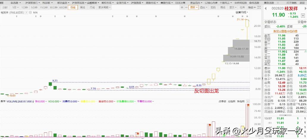 主力吸筹原则和方式_庄家吸筹特征分析_强庄股建仓,拉高,洗盘,出货的一些经典形态特征