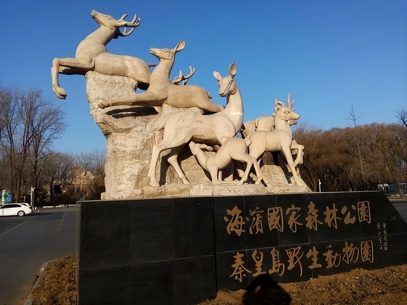 北戴河海鲜市场_北戴河旅游攻略_北戴河刘庄旅店多少钱?