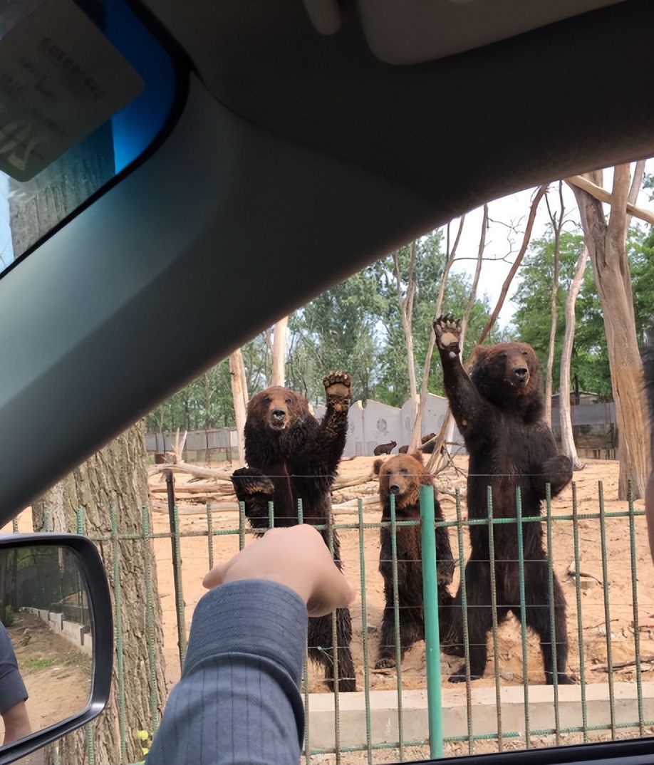 北戴河海鲜市场_北戴河旅游攻略_北戴河刘庄旅店多少钱?