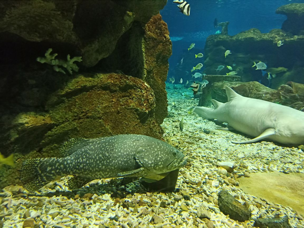 北戴河旅游攻略_北戴河刘庄旅店多少钱?_北戴河海鲜市场