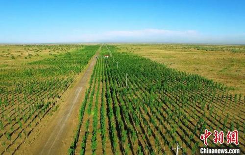 中泰集团绿色化工园区建设_阜康中泰化学电石招聘_中泰集团生态文明建设实践