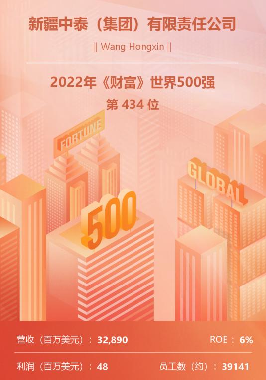 新疆中泰化学 世界500强 2022中国经济年度人物_阜康中泰化学电石招聘