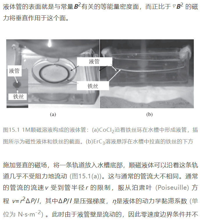 稀土永磁体 英文_磁性液体_铁磁流体