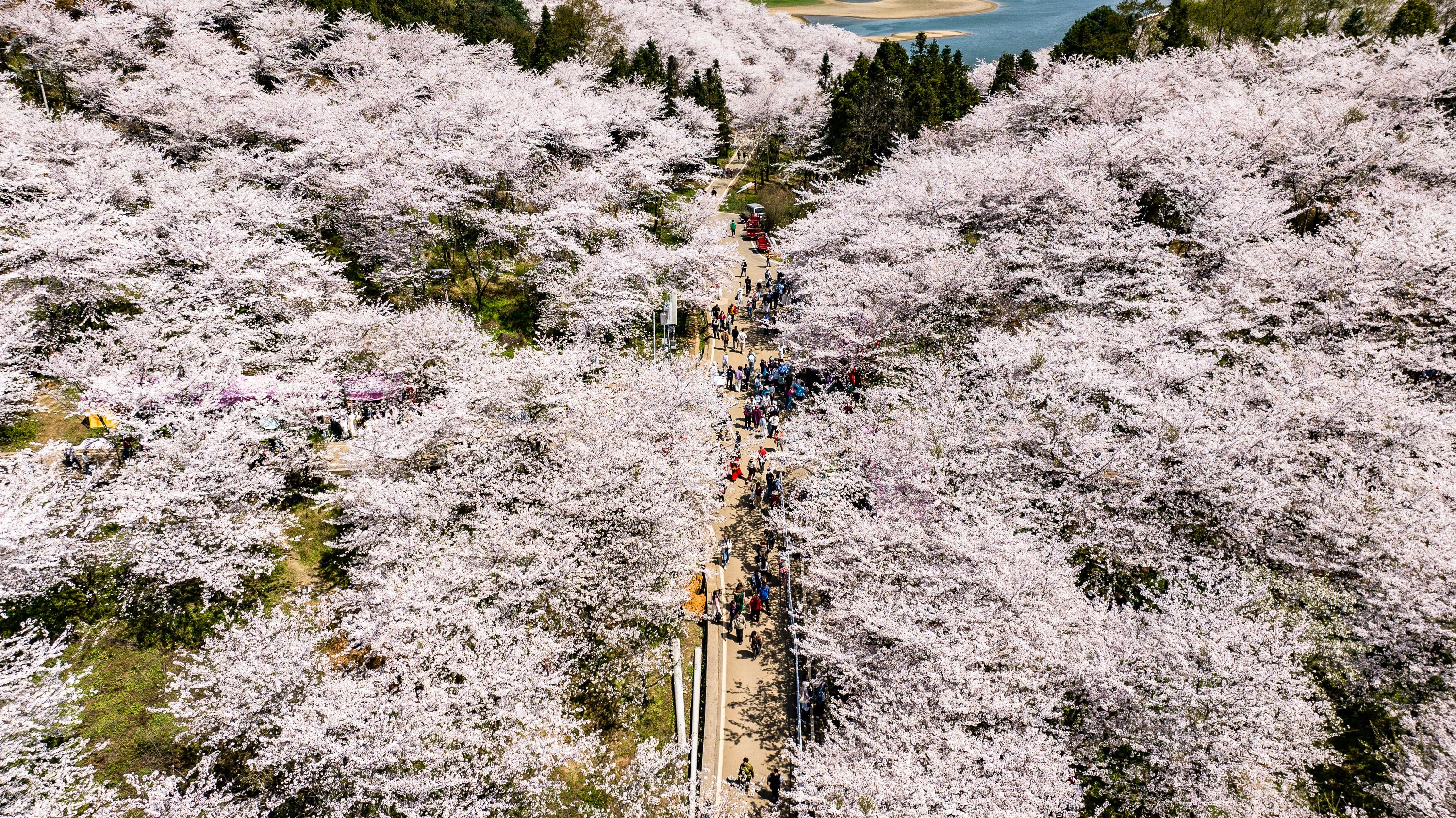 具身智能具象化_if1505_中国经济高质量发展图景