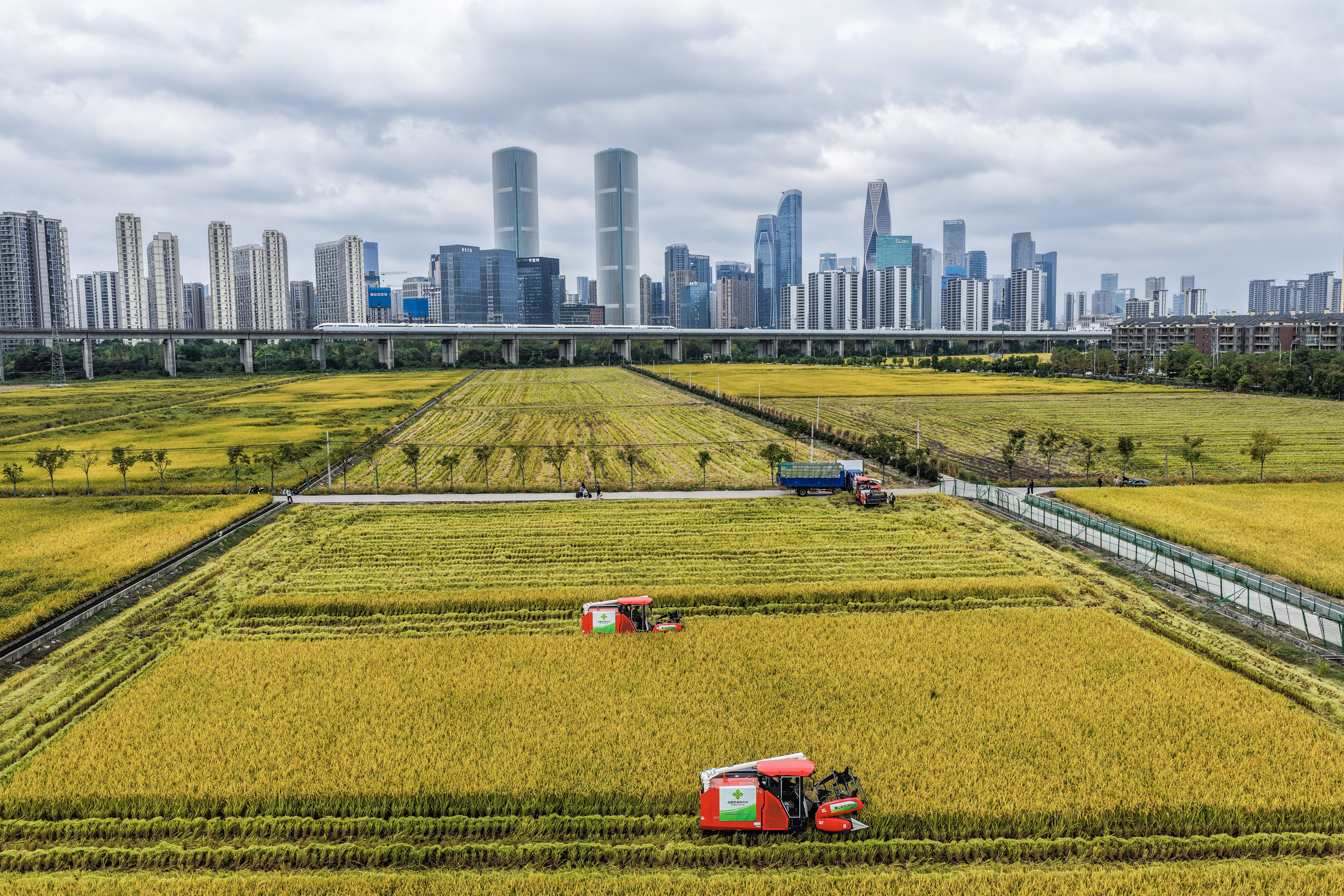 中国经济高质量发展图景_if1505_具身智能具象化