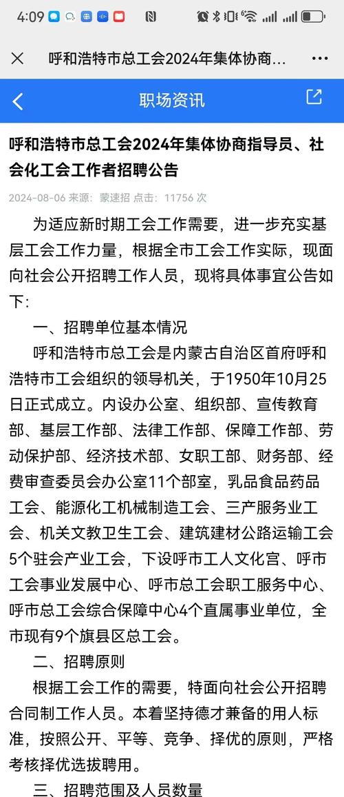 呼和浩特市赛罕区城市发展投资有限公司招聘公告，含多领域业务