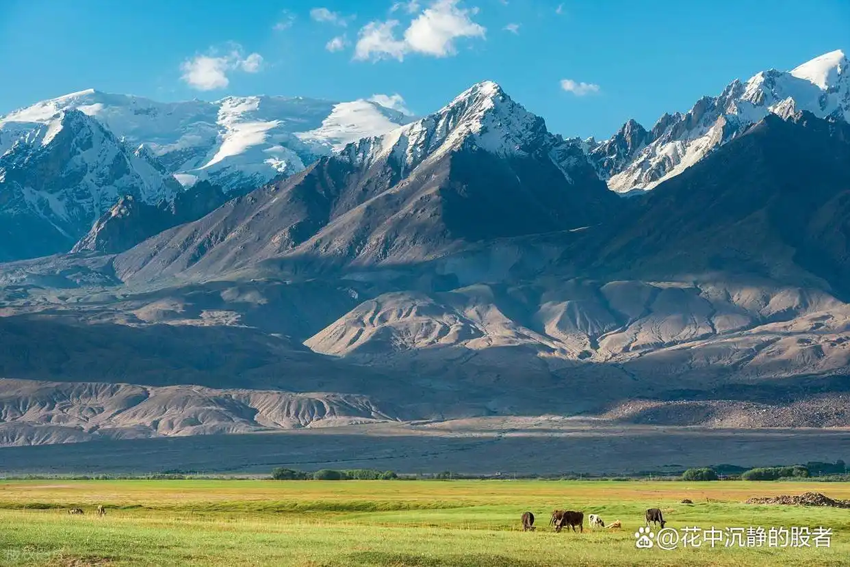 分时图资金进出指标_分时图实战技巧分析_分时图捕捉主力资金动向