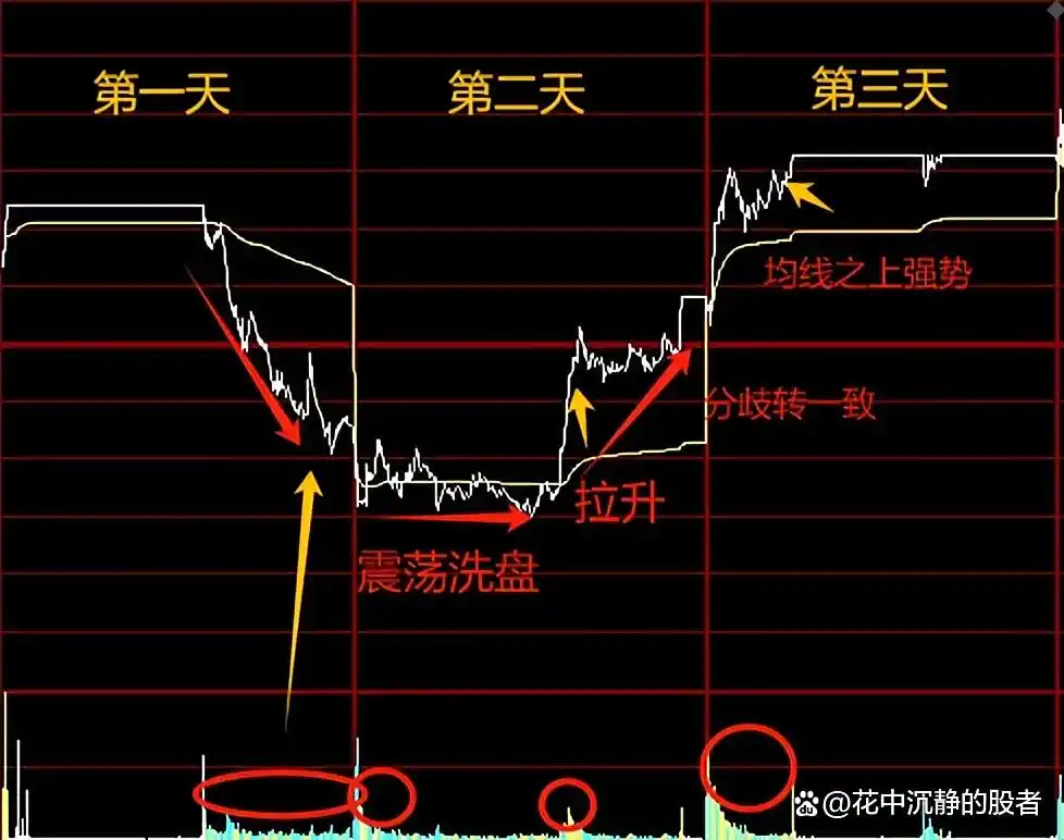 分时图实战技巧分析_分时图捕捉主力资金动向_分时图资金进出指标