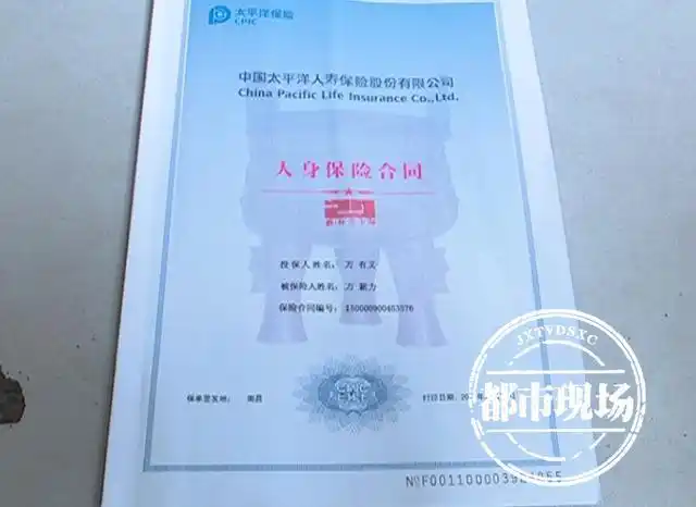 太平洋人寿鸿鑫人生两全分红型保险_保险合同纠纷本金返还_红利发两全保险的骗局