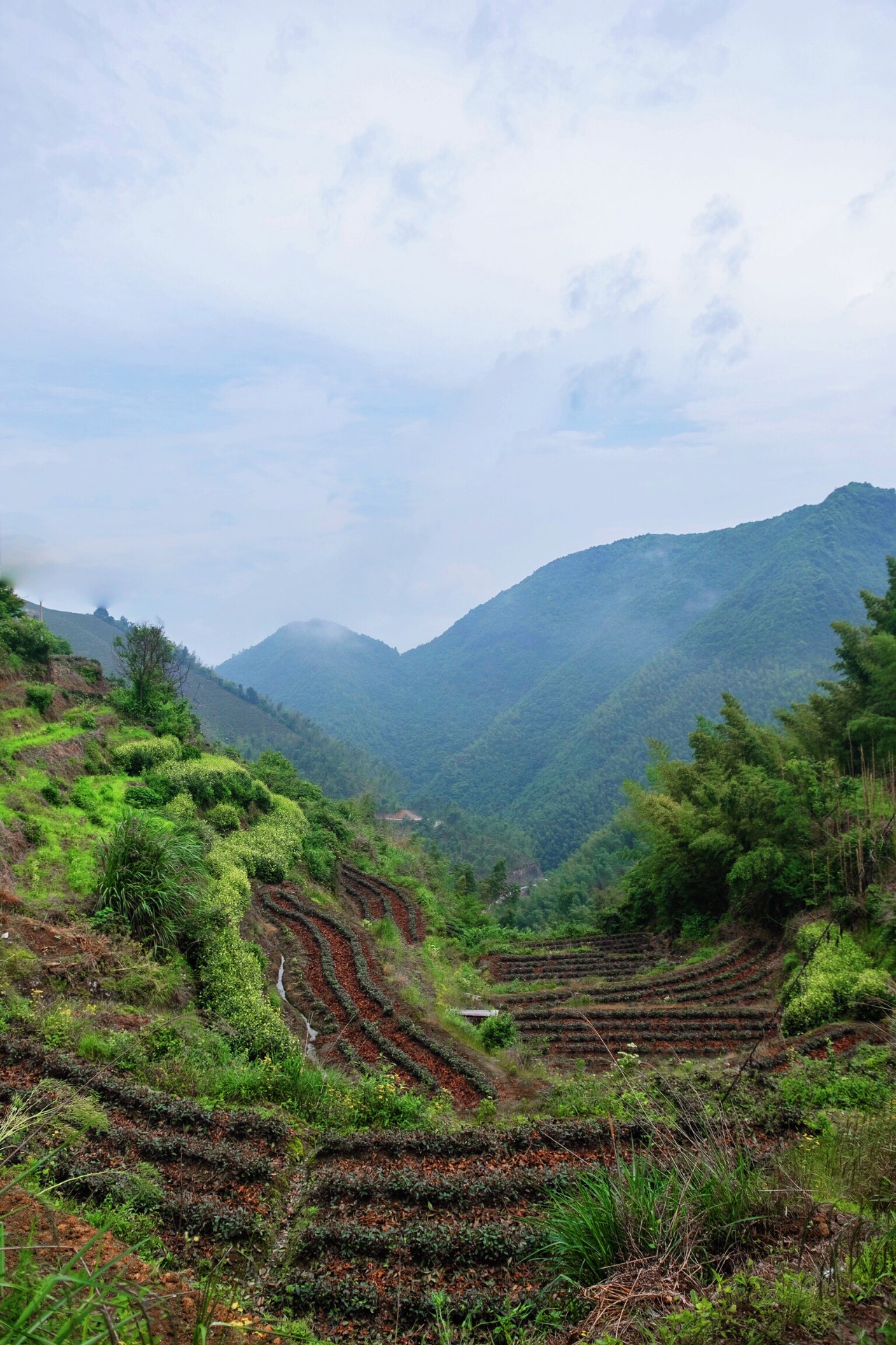 遂昌旅游攻略_遂昌九龙山_遂昌金矿历史