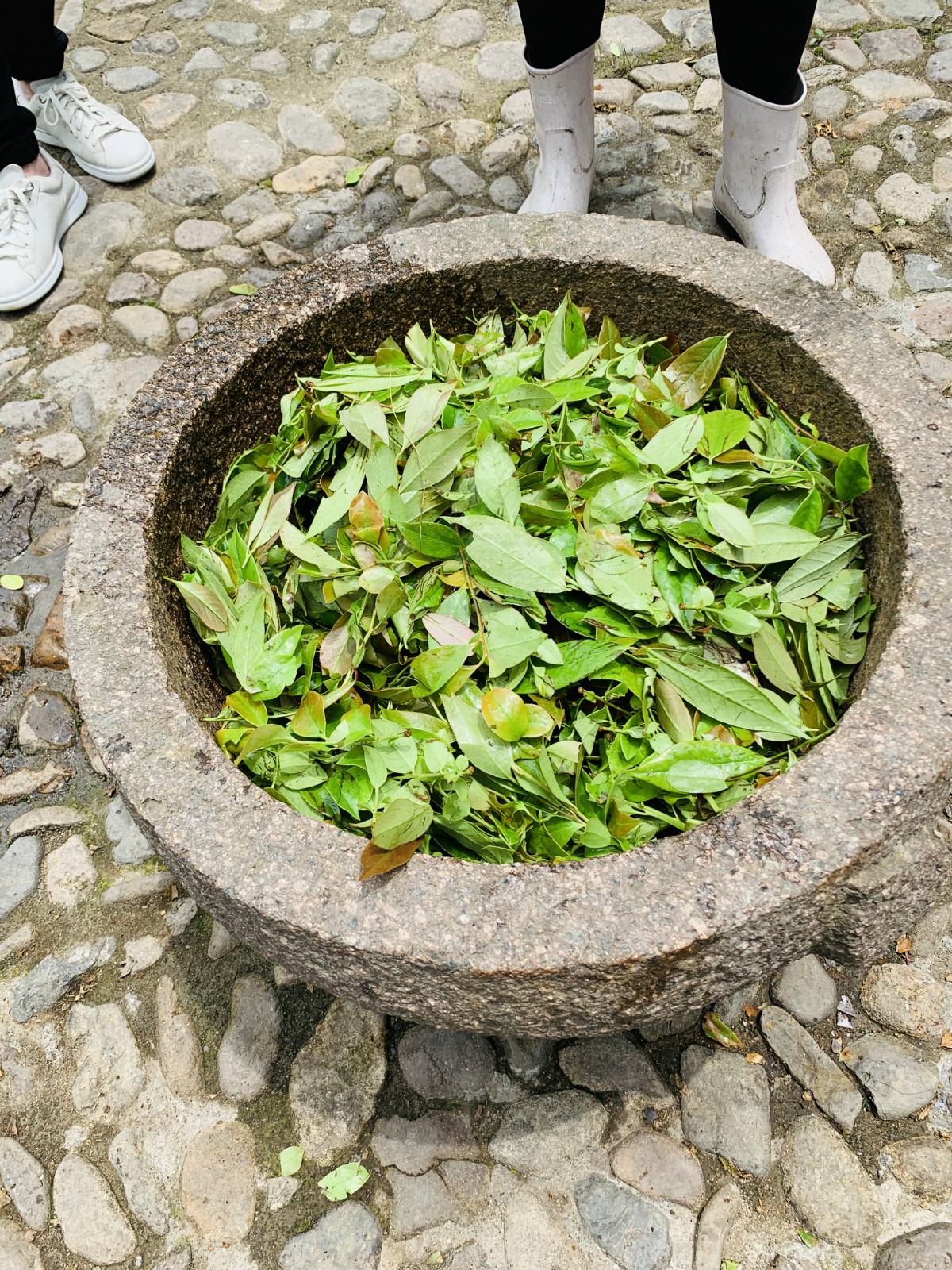 遂昌金矿历史_遂昌九龙山_遂昌旅游攻略