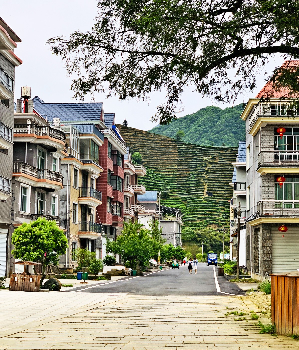 遂昌九龙山_遂昌旅游攻略_遂昌金矿历史