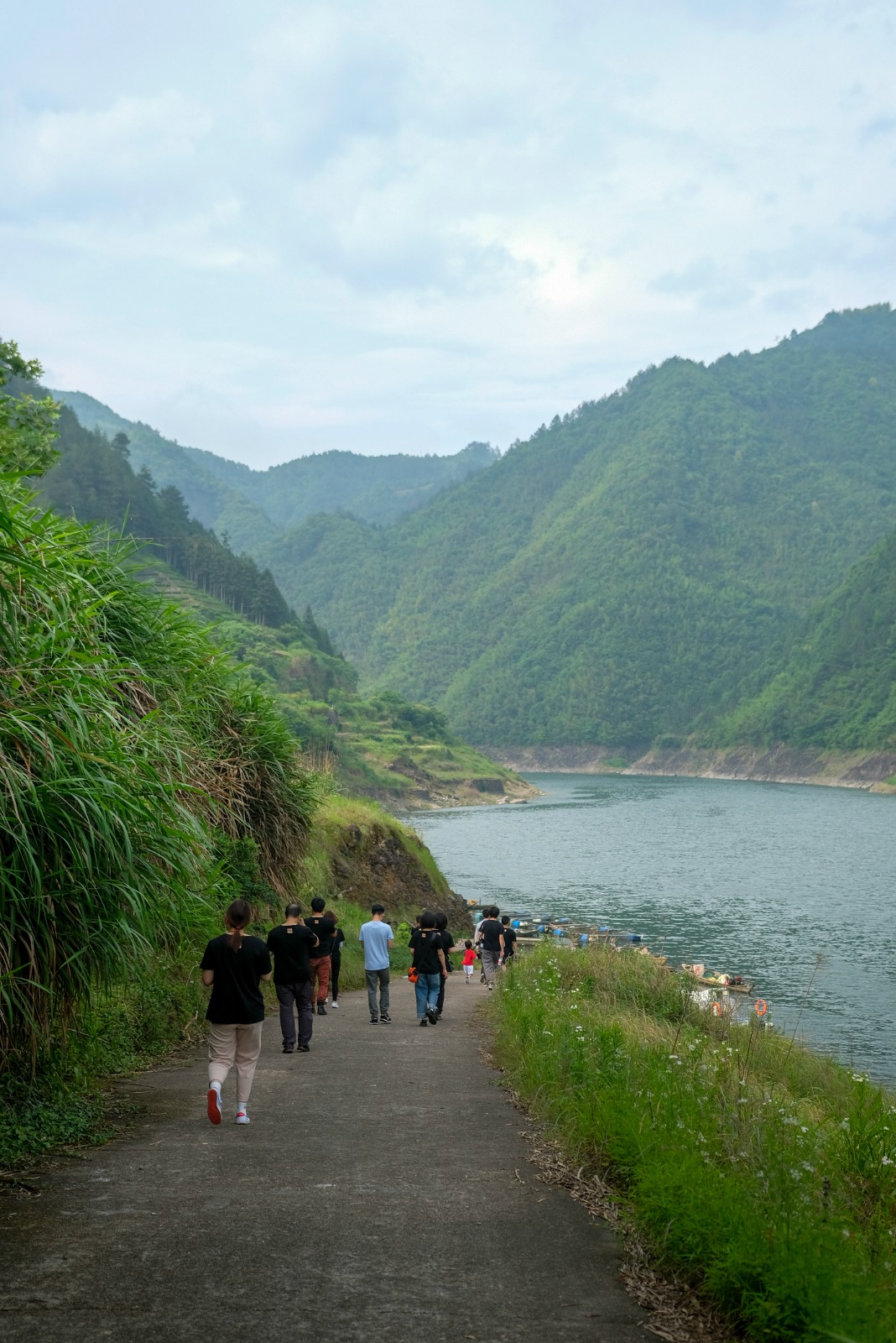 遂昌九龙山_遂昌旅游攻略_遂昌金矿历史