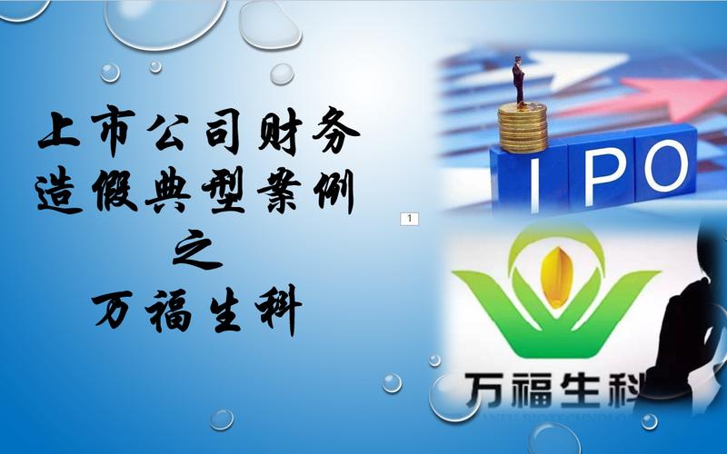万福生科财务造假案_万福生科退市调查结果_万福生科财务报表分析