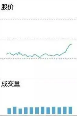 快速看盘技巧_股票盘中巨资抢筹码成交量分时预警_看盘中的即时波动态势